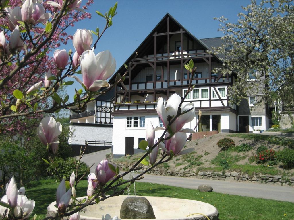 Ferienwohnungen Otto Schmallenberg Esterno foto